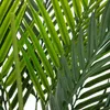 HOMLA TROPICAL ZONE Sztuczna palma 90 cm Podgląd zdjęcia produktu 2