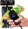 A chameleon is held by a hand, with a heating mat and thermostat visible. Anteprima dell’immagine prodotto