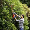 Black & Decker BEHT201-QS power hedge trimmer Double blade Anteprima dell’immagine prodotto 16