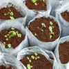 Kokoserde als Block gepresste Blumenerde aus Kokosfasern 5 Produktbild-Vorschau 5