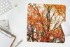MuchoWow® Mauspad Mousepad Wald - Herbst - Jahreszeiten Produktbild-Vorschau 5
