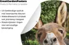 MuchoWow® Produktbild-Vorschau 4