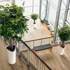 Ghiveci Lechuza Delta Premium 40/75 cm Rosu 15559 Náhled obrázku produktu 7
