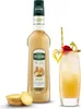 Mathieu Teisseire Getränke-Sirup Ingwer 0,7L (1er Pack) Produktbild-Vorschau 3