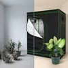 Serra Mucola incl. misuratore di umidità 3 in 1 per piante Anteprima dell’immagine prodotto 12