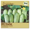 Samenliebe  Gurke Samen | Russische Gurke - kurze & robust Produktbild-Vorschau 1