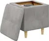 vidaXL Pufa do przechowywania z poduszką Jasnoszary 40 x 40 Podgląd zdjęcia produktu 2
