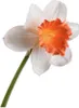 Silk-ka Seidenblume Narzisse Osterglocke Weiß Orange (58cm) Produktbild-Vorschau 2