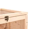 The Living Store Hamsterkäfig 81x40x60 cm Massivholz Tanne Produktbild-Vorschau 9