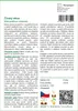 SAFLAX - Čínský rákos - Miscanthus sinensis - 200 Semena Náhled obrázku produktu 3