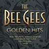 Bee Gees - Golden Hits (2 CD) Produktbild-Vorschau 1