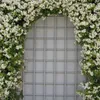 A metal gate covered in white jasmine flowers. Podgląd zdjęcia produktu