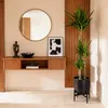 Green boutiQ - Zimmerpflanze - Yucca elephantipes - Yucca - Produktbild-Vorschau 4