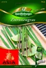 Quedlinburger Saatgut - Zitronengras - Samen - 291078 Produktbild-Vorschau 1