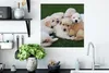 MuchoWow® Poster Tiere - Welpen - Hunde 50x50 cm - Produktbild-Vorschau 3