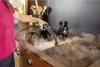 A person is using a steam cleaner to clean a stovetop. Voir les images du produit