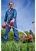 Einhell, recortador de césped inalámbrico GP-CT 36/35 Li Vista previa de la imagen del producto 15