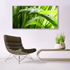 Glasbilder 140x70 Wandbild Druck auf Glas Gras Produktbild-Vorschau 3