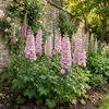 Bloomique - Zestaw 6 sztuk - Delphinium Magic Fountains Podgląd zdjęcia produktu 3