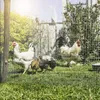 Windhager verzinktes Drahtgitter, punktgeschweißt, leicht Produktbild-Vorschau 2