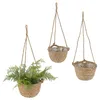 2x Pflanzkorb zum Aufhängen S:Ø22x15cm; M:Ø25x18cm Produktbild-Vorschau 8