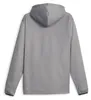 Puma Fit Taped Fleece Kapuzen Sweatshirt, grau, S, Herren Produktbild-Vorschau 2