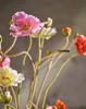 Kunstblume von Silk-ka – Seidenblumen-Mohnzweig, rosa-rot, Produktbild-Vorschau 2