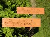 Edelrost Sichtschutz Wand Schild Schmetterling 3D, Produktbild-Vorschau 6