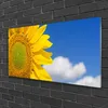 Acrylglasbilder 100x50 Wandbild Druck Sonnenblume Wolken Produktbild-Vorschau 2