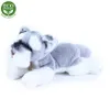 Rappa Plüschhund 16 cm umweltfreundlich Produktbild-Vorschau 3