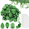 Supports autocollants pour plantes grimpantes, 20 pièces Voir les images du produit 2