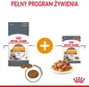 ROYAL CANIN Hair&Skin Care - trockenfutter für Katzen - 4kg Produktbild-Vorschau 7