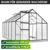 BRAST Gewächshaus Aluminium mit Fundament | 310x250x205cm | Produktbild-Vorschau 9