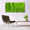 Tulup Leinwand-Bilder 140x70 Wandbild Canvas Kunstdruck Produktbild-Vorschau 3