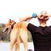 A person and a dog are by a body of water. Podgląd zdjęcia produktu