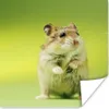 MuchoWow® Poster Nahaufnahme eines Hamsters vor einem Produktbild-Vorschau 1