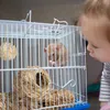Relaxdays Hamster Zubehör Set 5 tlg., Hamstertunnel, Produktbild-Vorschau 2