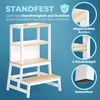 A white and wood learning tower with text and circular insets highlighting features. Anteprima dell’immagine prodotto