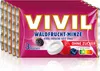 VIVIL Waldfrucht-Minze Pastillen ohne Zucker | 5 x 3er Pack Produktbild-Vorschau 1