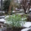 A small cluster of green plants with thin stems and leaves is growing in dark soil, surrounded by snow and rocks. Snowflakes are falling, creating a wintery scene. Podgląd zdjęcia produktu
