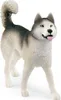 Schleich schleich® WILD LIFE 42558 Spedizione Antartica Anteprima dell’immagine prodotto 15