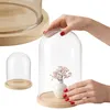 Dekoglocke mit Glassturz AURA, 30 cm Produktbild-Vorschau 2