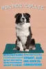 vianmo Holzschild 18x12 cm Border Collie Hund intelligent Produktbild-Vorschau 1