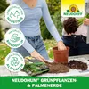 Neudorff NeudoHum Grünpflanzen- & PalmenErde 40 Liter Produktbild-Vorschau 6