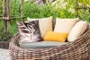 MuchoWow® Outdoor Kissen - Blättern - Design - Abstrakt - Produktbild-Vorschau 3