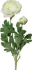 Kunstblume, Seidenblume RANUNKEL ca 40cm CREME Produktbild-Vorschau 1