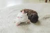 Beeztees Hundespielzeug Puppy Einhorn Owen weiß Produktbild-Vorschau 8