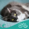 Beaphar - Shampoo für Katzen - 250 ml Produktbild-Vorschau 6
