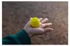 Boompods Zero Yellow Produktbild-Vorschau 5