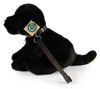 Pluszowy pies labrador, czarny, z obrożą i smyczką, 25 cm. Podgląd zdjęcia produktu 2